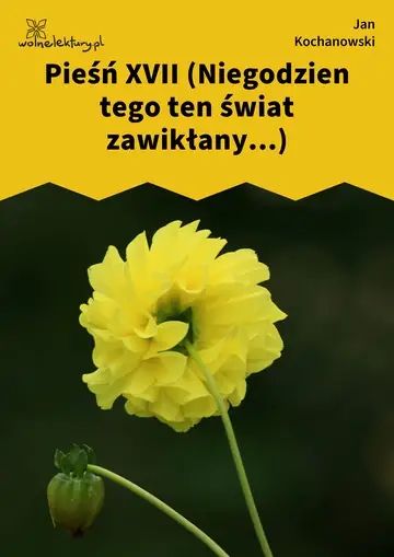 Pieśń XVII (Niegodzien tego ten świat zawikłany...)