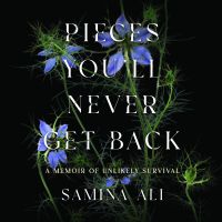 Pieces You'll Never Get Back