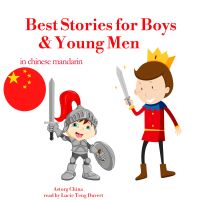 最佳故事男孩和年轻男子在中国国语