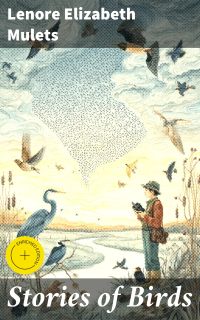 Stories of Birds