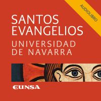 Santos Evangelios