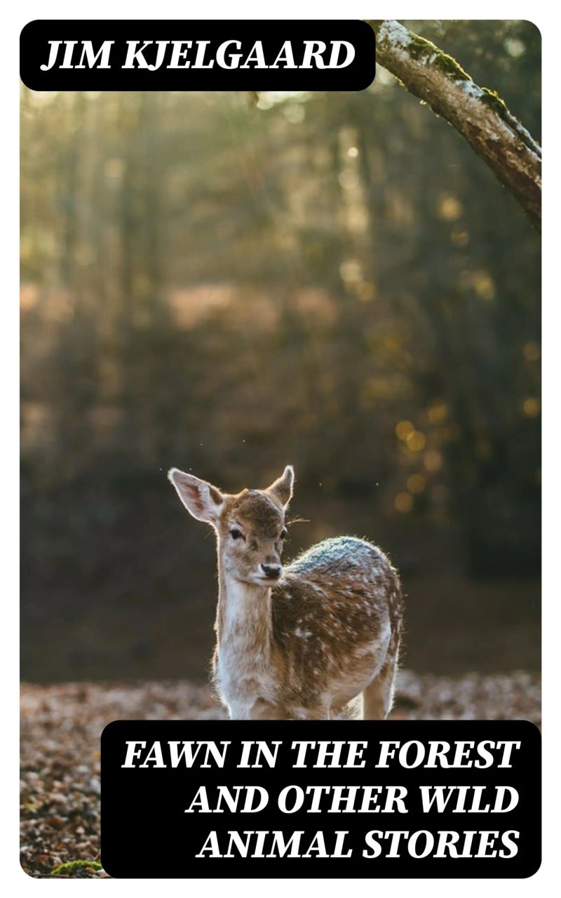 Fawn in the Forest and Other Wild Animal Stories