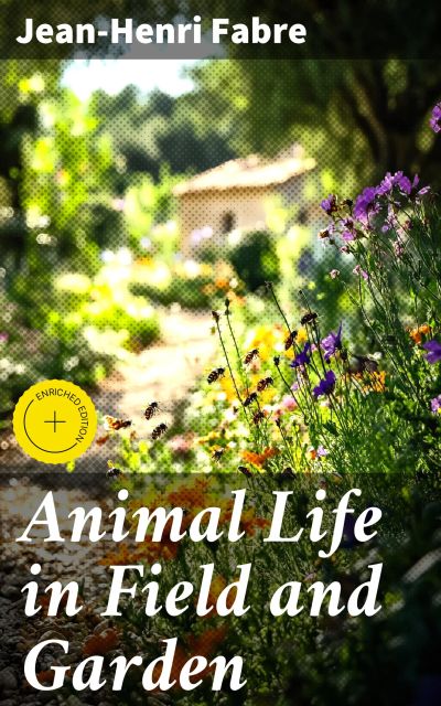 Animal Life in Field and Garden