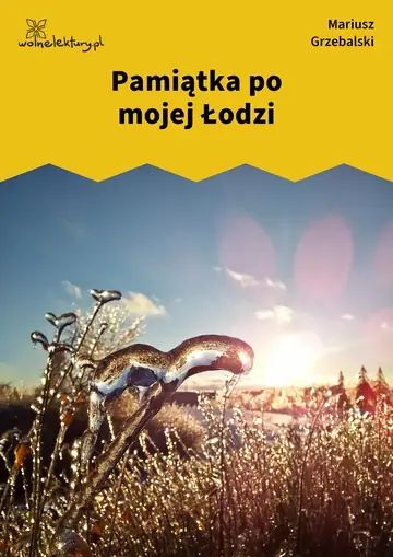 Pamiątka po mojej Łodzi