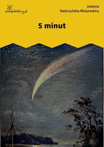 5 minut
