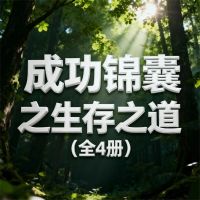 成功锦囊之生存之道（全4册）