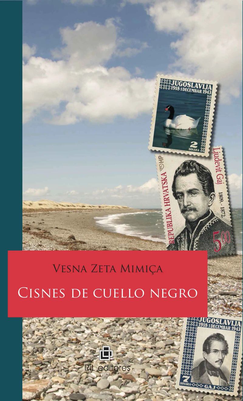 Cisnes de cuello negro
