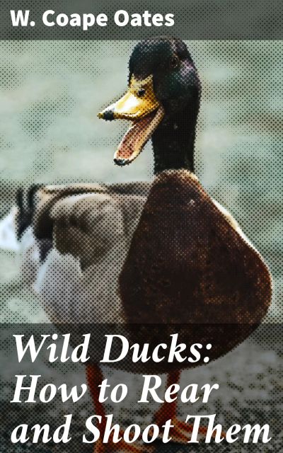 Wild Ducks: How to Rear and Shoot Them