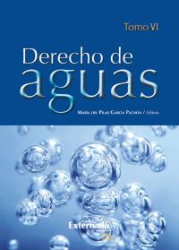 Derecho de Aguas Tomo VI
