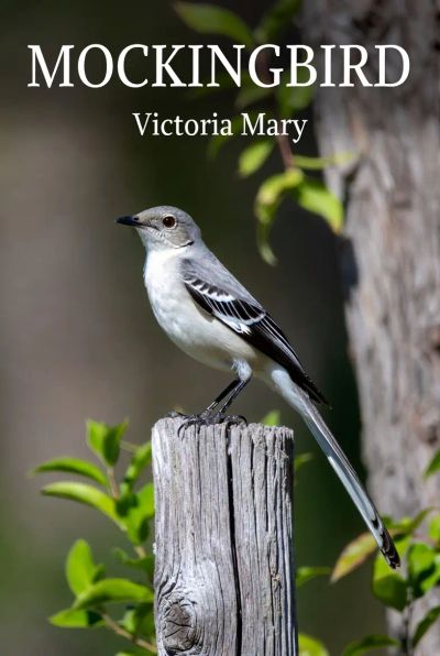 MOCKINGBIRD