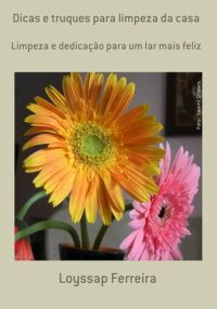 Dicas E Truques Para Limpeza Da Casa