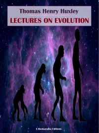 Lectures on Evolution