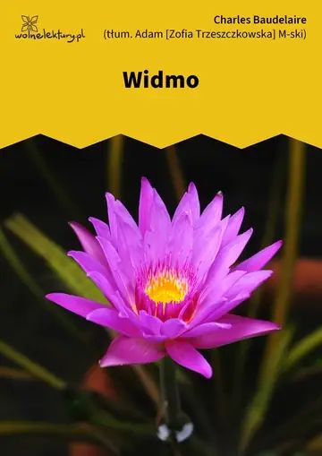 Widmo