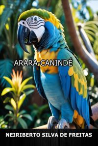 Arara Canindé