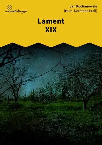 Lament XIX