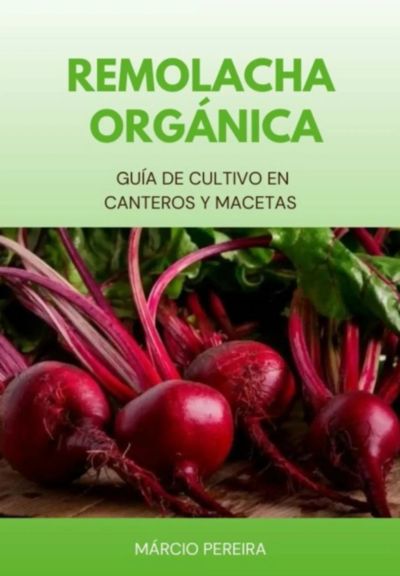 Remolacha Orgánica