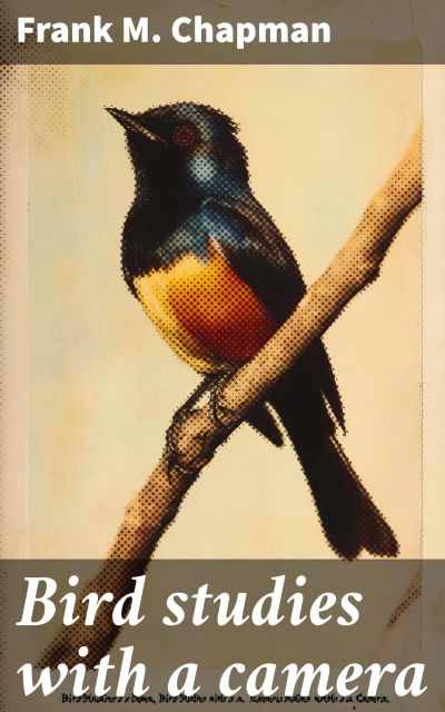 Bird studies with a camera