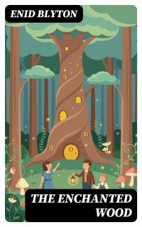 The Enchanted Wood