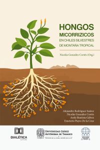 Hongos Micorrizicos en Chiles Silvestres de Montaña Tropical