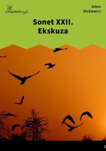 Sonet XXII. Ekskuza
