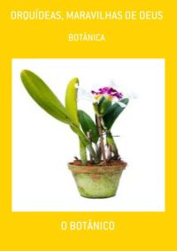 Orquídeas, Maravilhas De Deus