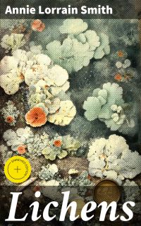Lichens
