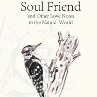 Soul Friend