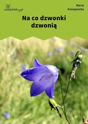 Na co dzwonki dzwonią