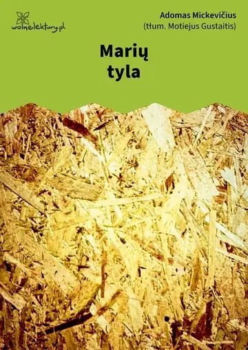 Marių tyla