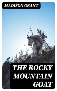 The Rocky Mountain Goat