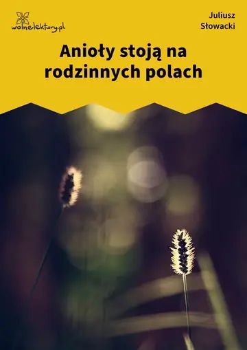 Anioły stoją na rodzinnych polach