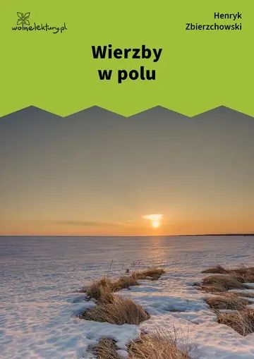 Wierzby w polu