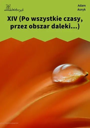 XIV (Po wszystkie czasy, przez obszar daleki...)