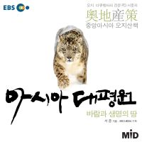아시아 대평원