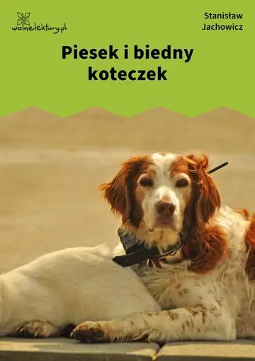 Piesek i biedny koteczek