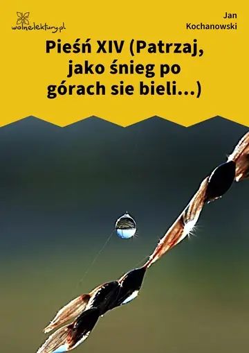 Pieśń XIV (Patrzaj, jako śnieg po górach sie bieli...)