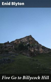 Five Go to Billycock Hill