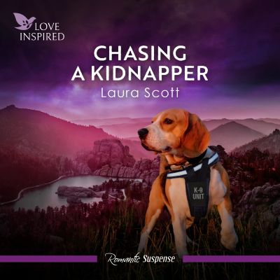 Chasing A Kidnapper