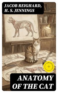 Anatomy of the Cat