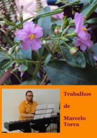 Trabalhos De Marcelo Torca