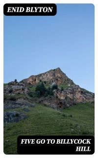 Five Go to Billycock Hill