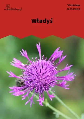Władyś