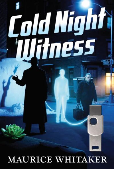 Cold Night Witness