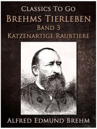 Ein stummer Musikant. Die Geschichte einer Künstlerliebe