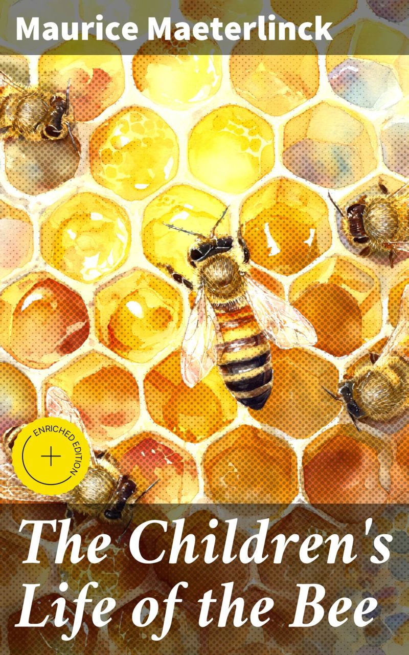 The Children's Life of the Bee