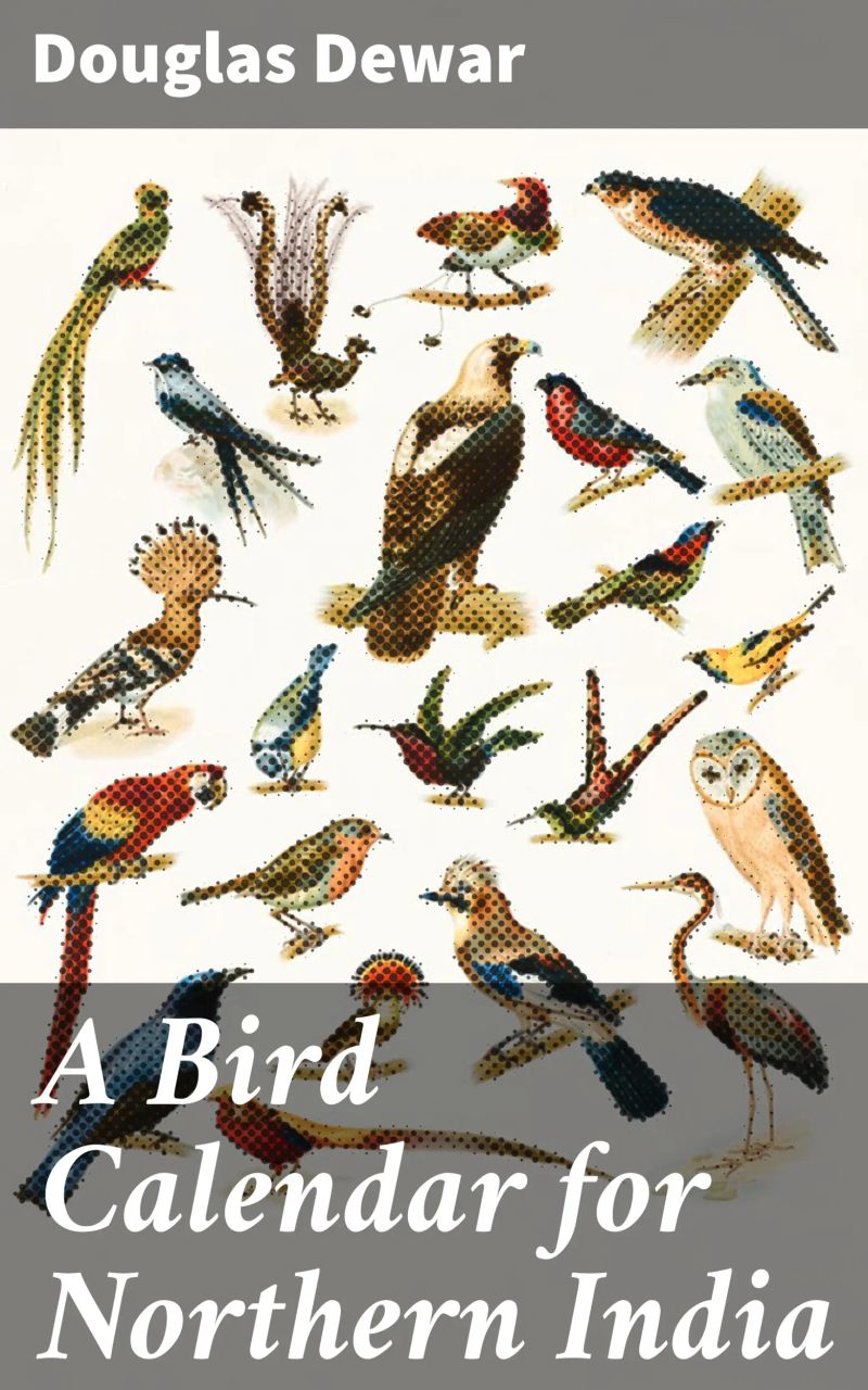 A Bird Calendar for Northern India