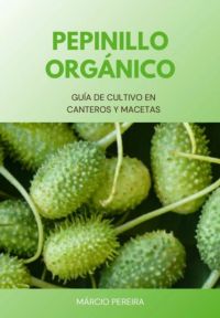 Pepinillo Orgánico