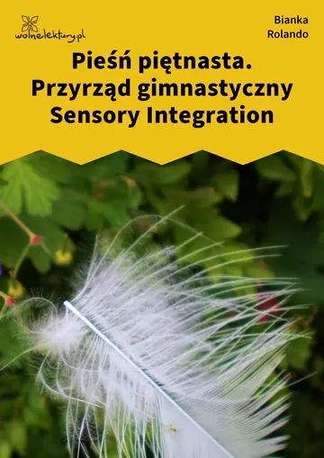 Pieśń piętnasta. Przyrząd gimnastyczny Sensory Integration