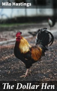The Dollar Hen