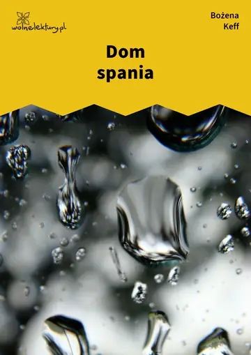 Dom spania